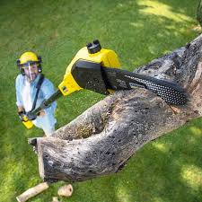 Best Lawn Grading and Leveling  in Bayou Country Clu, LA