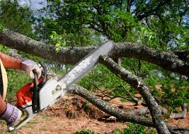 Lawn Pest Prevention in Bayou Country Clu, LA