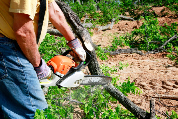 Best Tree Mulching Services  in Bayou Country Clu, LA